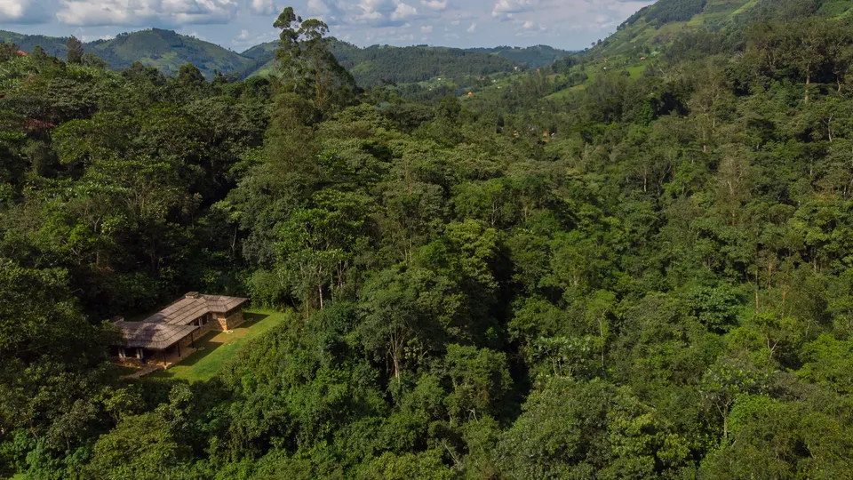 Deluxe banda set within forest, aerial view