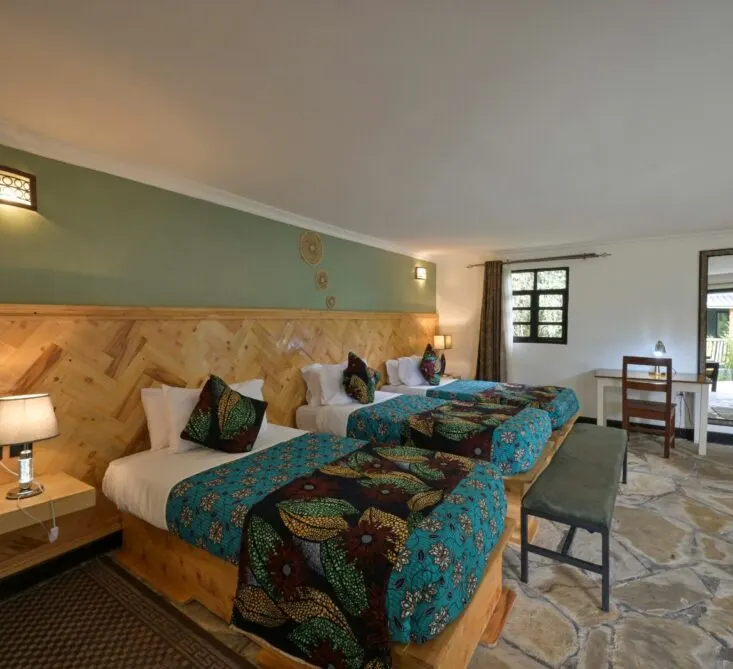 Da Vinci Gorilla Lodge photograph