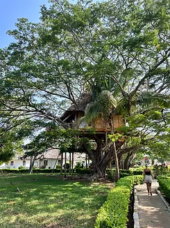 Antonio Beach Tree House Hotel & Spa photograph