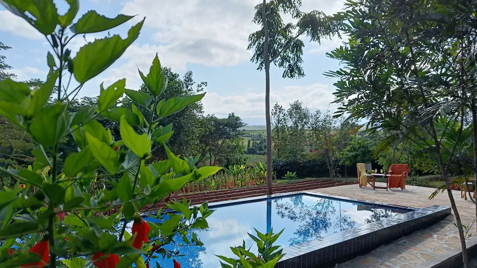 Swimming pool and garden at Tanzanice Farm Lodge