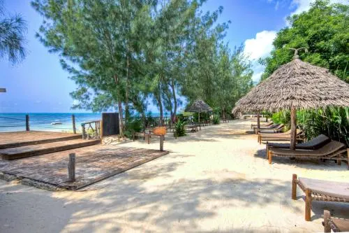 Sandy beachfront seating area