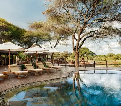Swimming pool, loungers and communal deck at Swala Camp