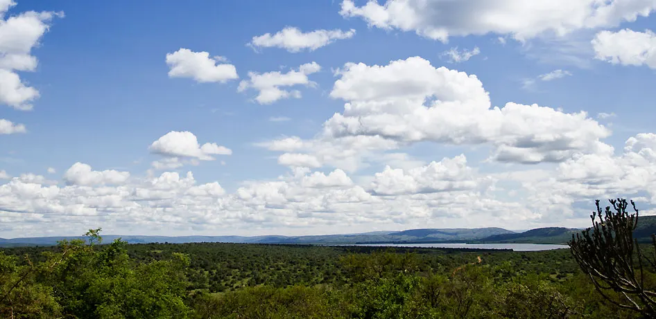 View from the camp towards Lake Mburo