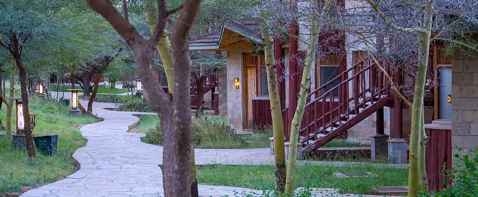 Samburu Simba Lodge pathway between guest buildings
