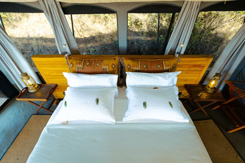 Guest tent at Basecamp Wilderness, September 2026 image