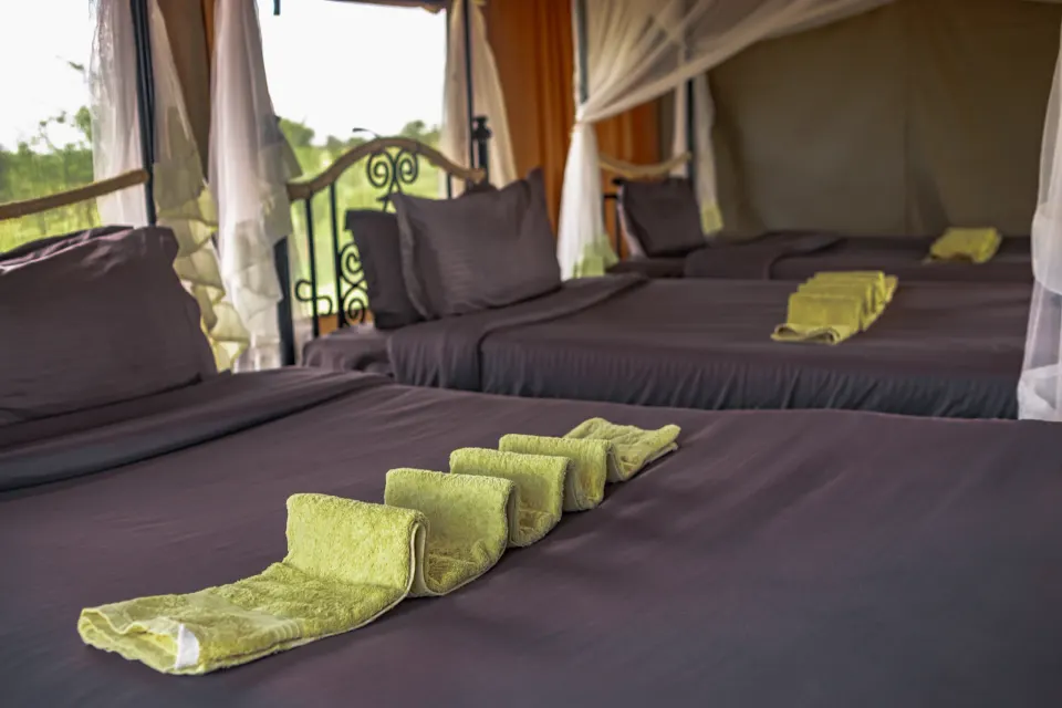 Serengeti Wildebeest Camp triple-room interior