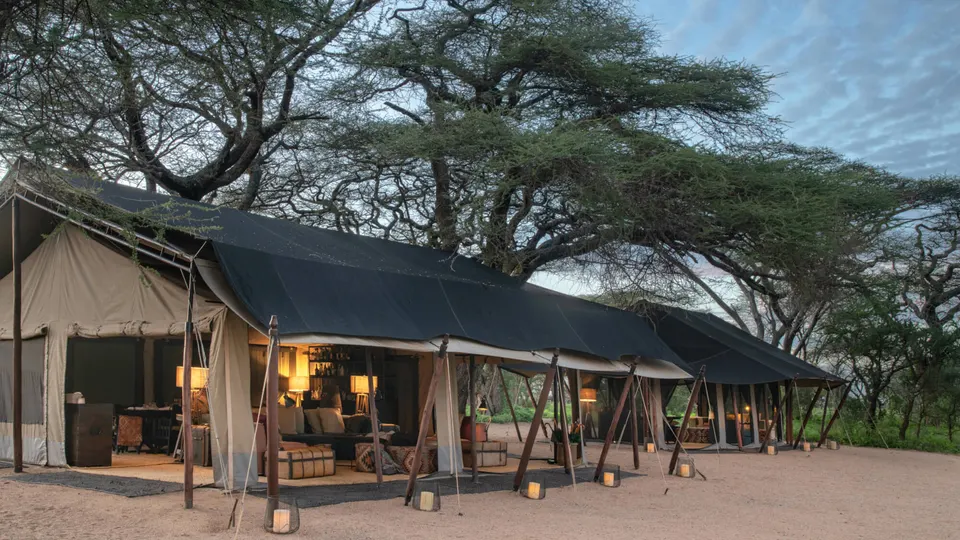 Mwiba Plains photograph