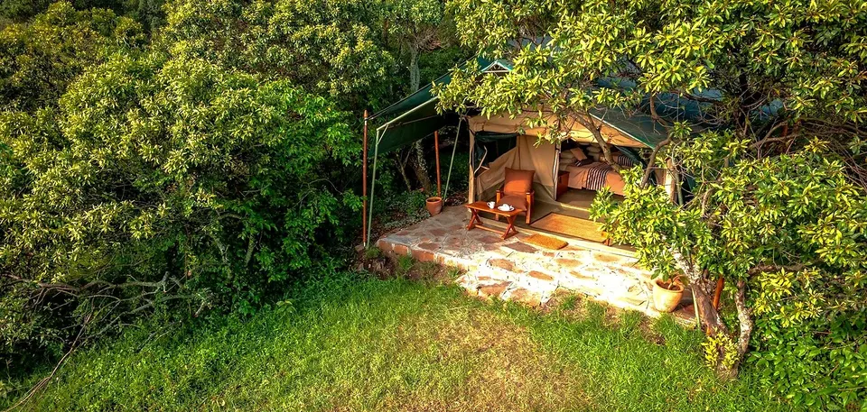 Losokwan tent exterior in riverine vegetation