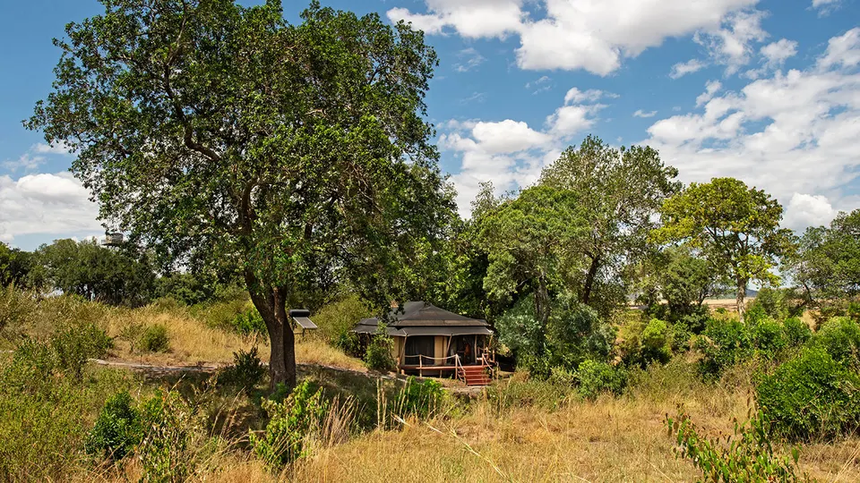 Sand River Masai Mara tent exterior in riverine vegetation