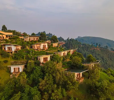 Gorilla Heights Lodge cottages across the hillside; public inline preview