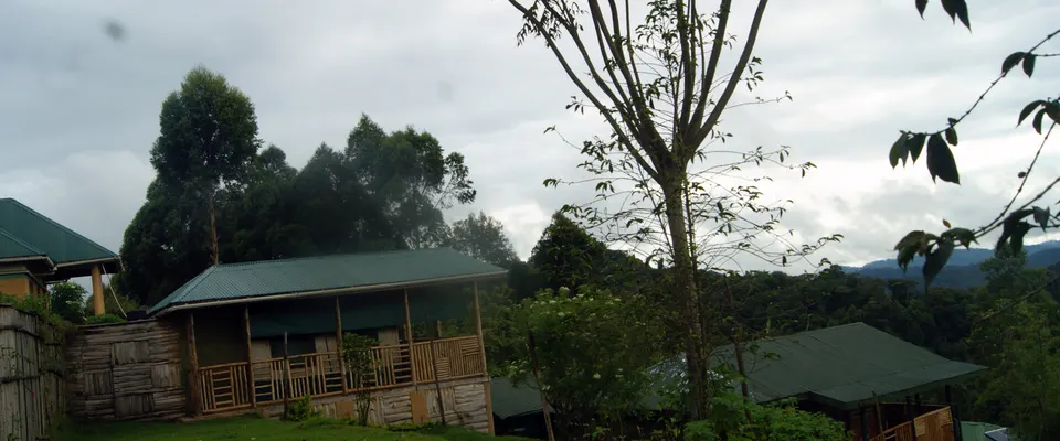 Ruhija Gorilla Friends buildings and forest-edge grounds