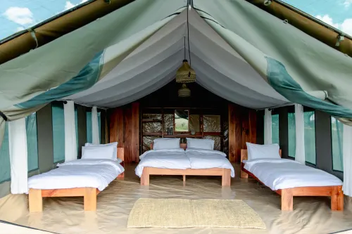 Kimbilio Lobo multiple-bed tent arrangement