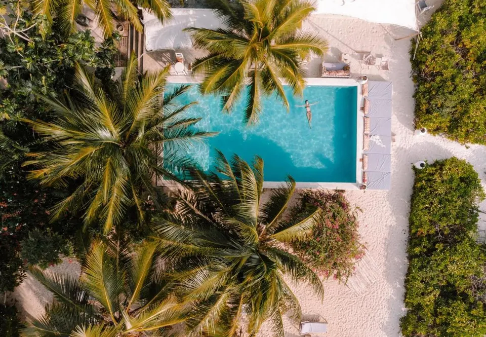 Pool and palm garden from above
