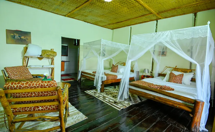 Gorilla Mist Camp twin bedroom with netted beds and woven seating