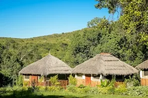 Thatched cottage exteriors at Giraffe Hills Mara Camp