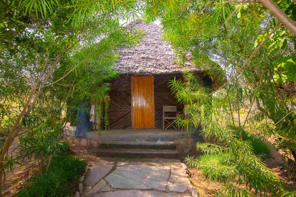 Explore Nature Mara Lodge photograph