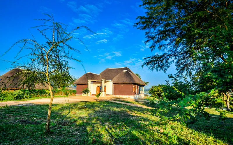 Twiga Safari Lodge thatched guest buildings and lawn