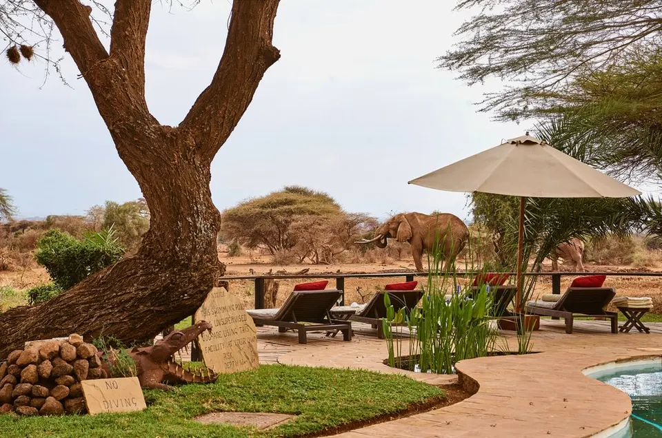 Garden terrace beside the pool area