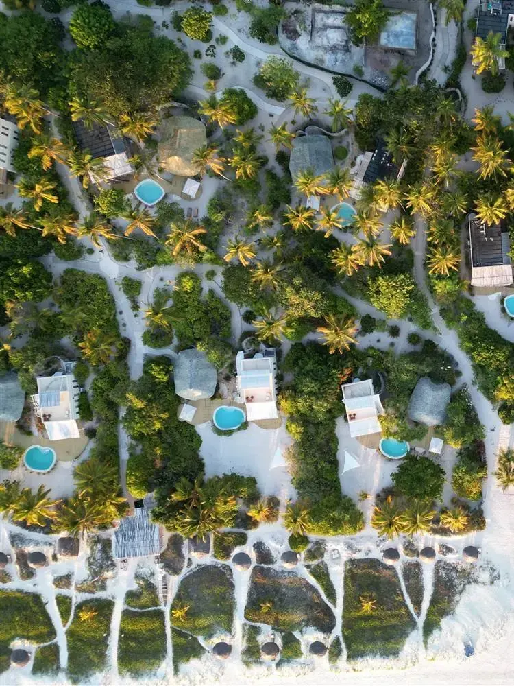 Aerial view of villas, gardens and beachfront