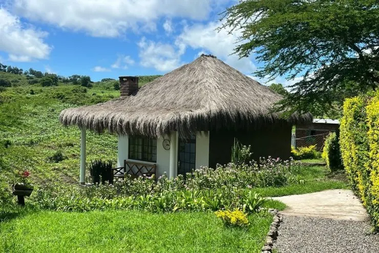 Cottage exterior and garden