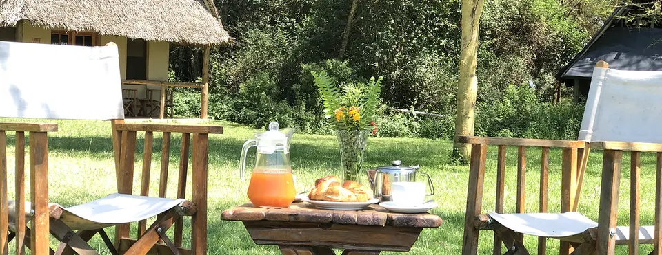 Outdoor seating beside the gardens and pond