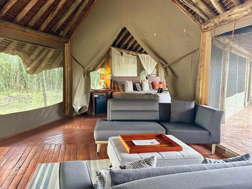 NAPA bedroom and living area
