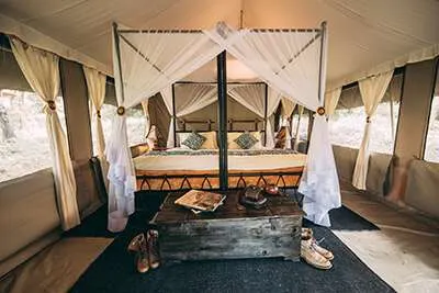 Guest tent bedroom