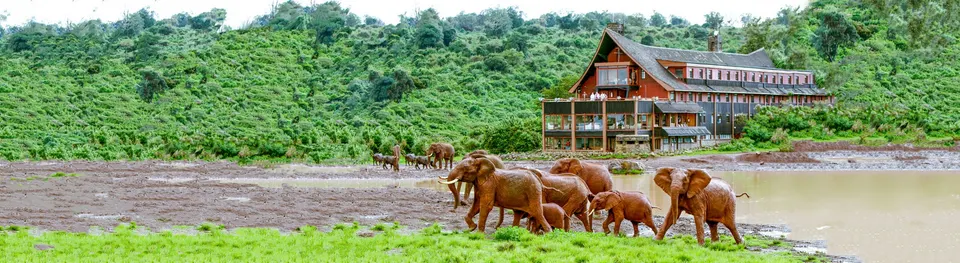 The Ark, Aberdare National Park photograph