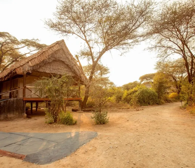 Tent and grounds