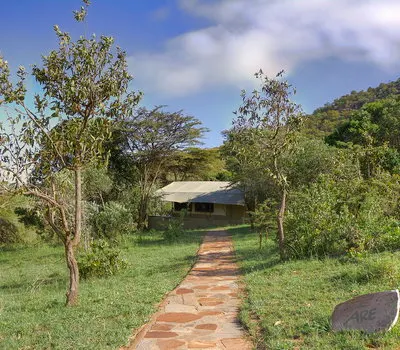 Path through trees toward an Entumoto tent