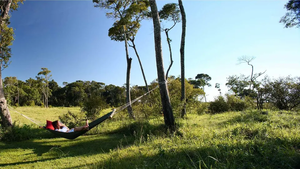 Hammock scene beside Elephant Pepper Camp