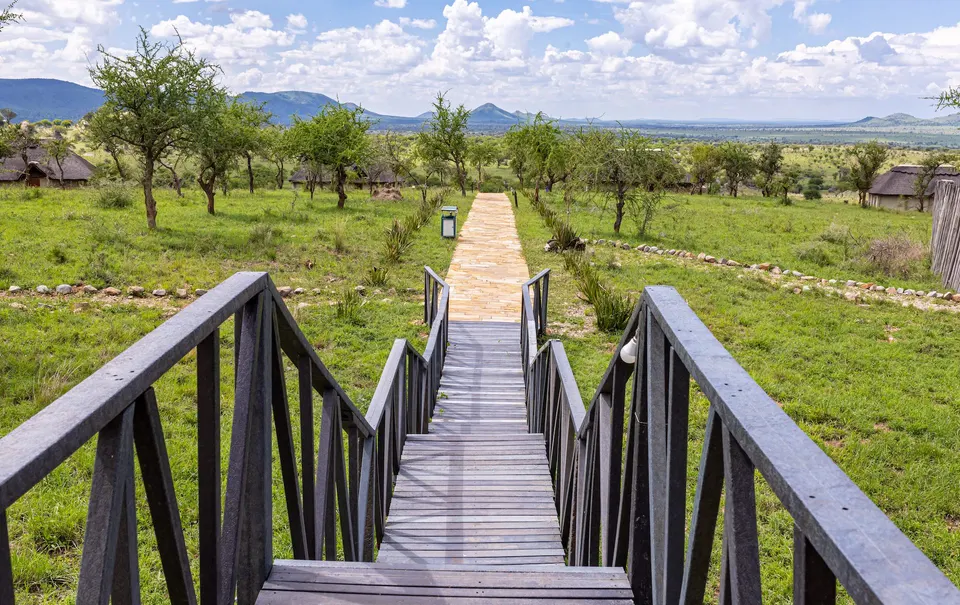 Serengeti Safari Lodge grounds and room exteriors