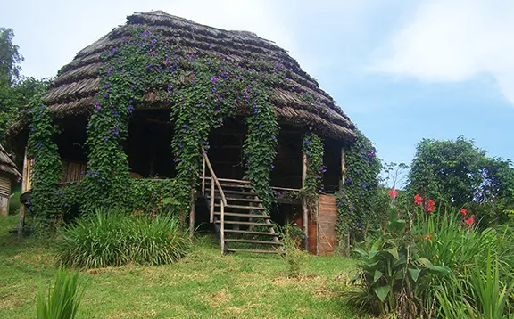 Cuckooland Tented Lodge photograph