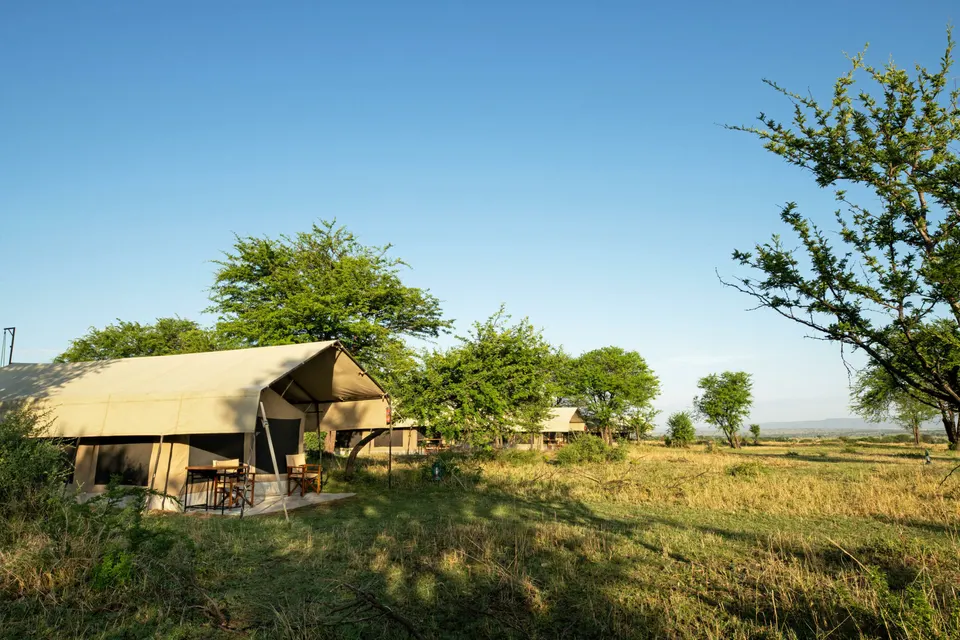 Tent exterior and porch