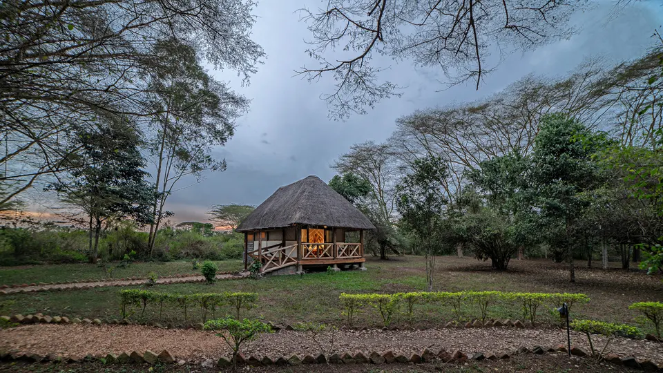Thatched cottage exterior and surrounding grounds
