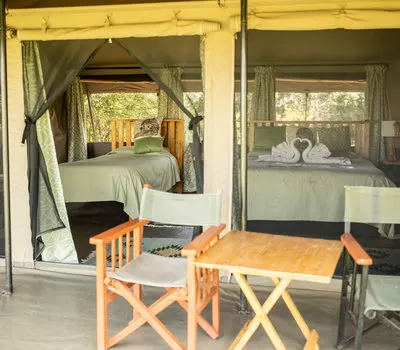 Porini Lion guest tent entrance with beds visible inside
