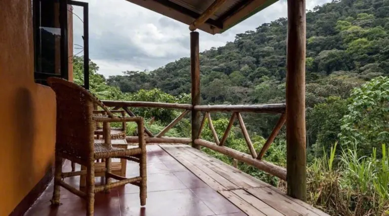 Gorilla Valley Lodge timber veranda and forest outlook