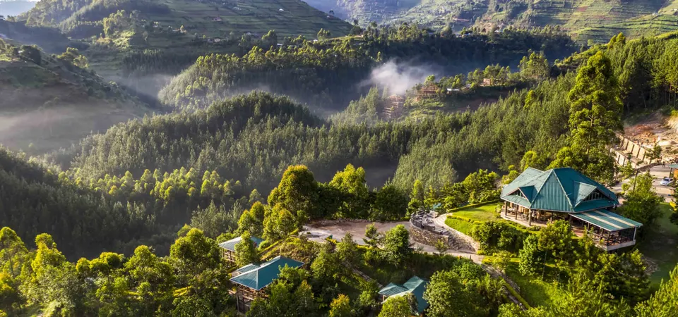 Rushaga Gorilla Lodge buildings and forested hillside