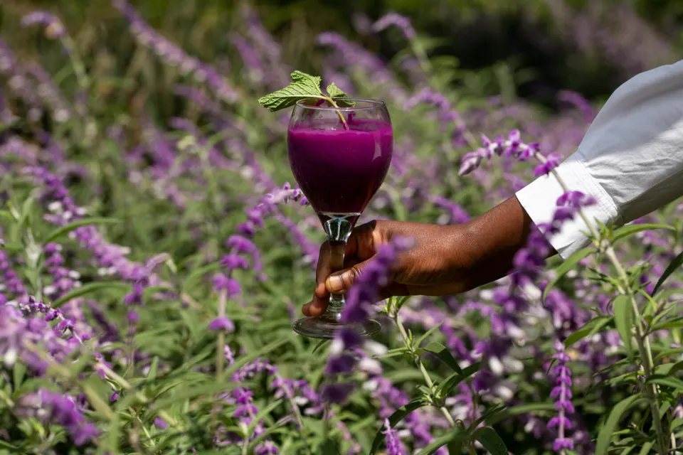 Ngorongoro Farm House welcome-drink detail