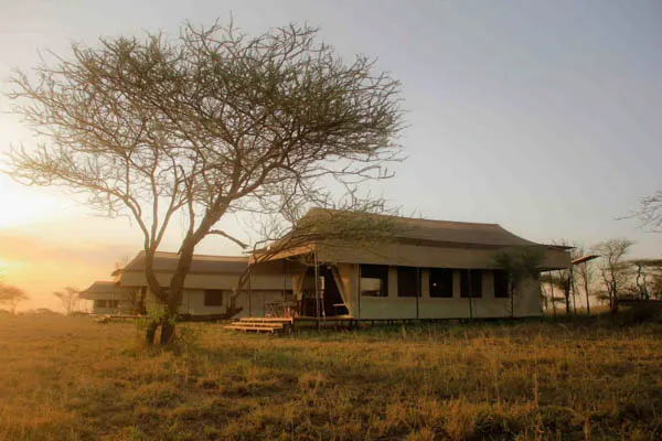 Hippo Trails tent exterior