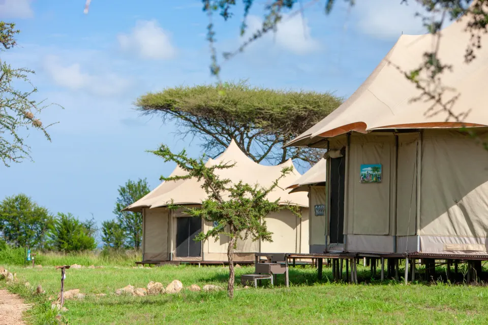 Serengeti Wildebeest Camp tent exteriors