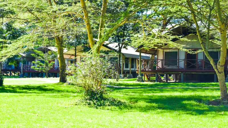 Tented accommodation and lawns at Crescent Camp