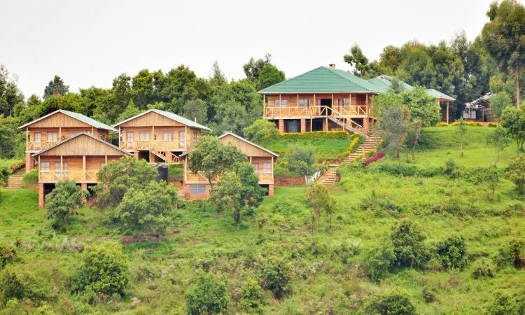 Ruhija Gorilla Safari Lodge photograph