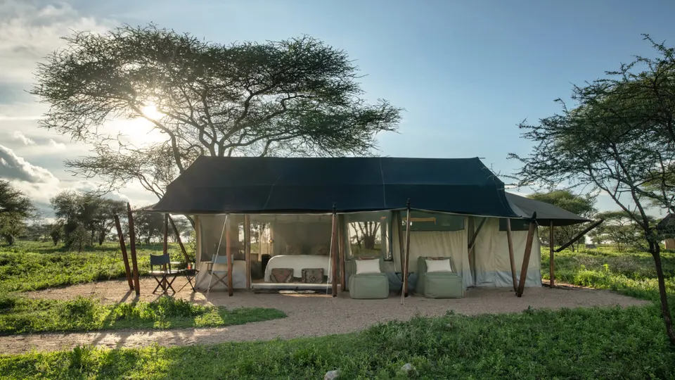 Mwiba Plains photograph