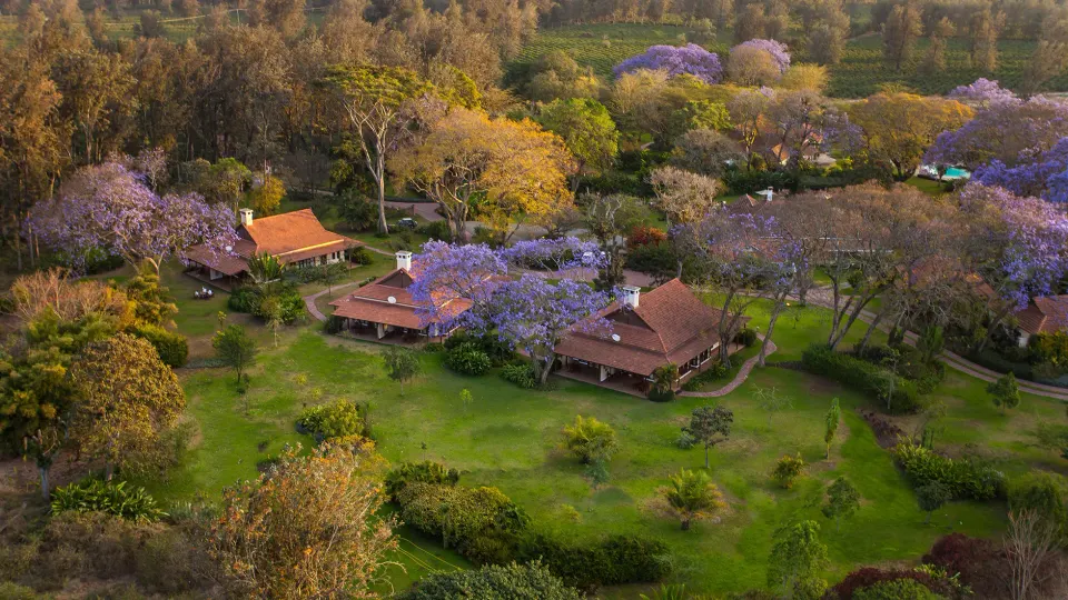 Aerial view of lodge gardens and cottages at Legendary Lodge