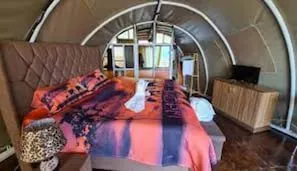 Little Amanya curved tent interior with bed and seating