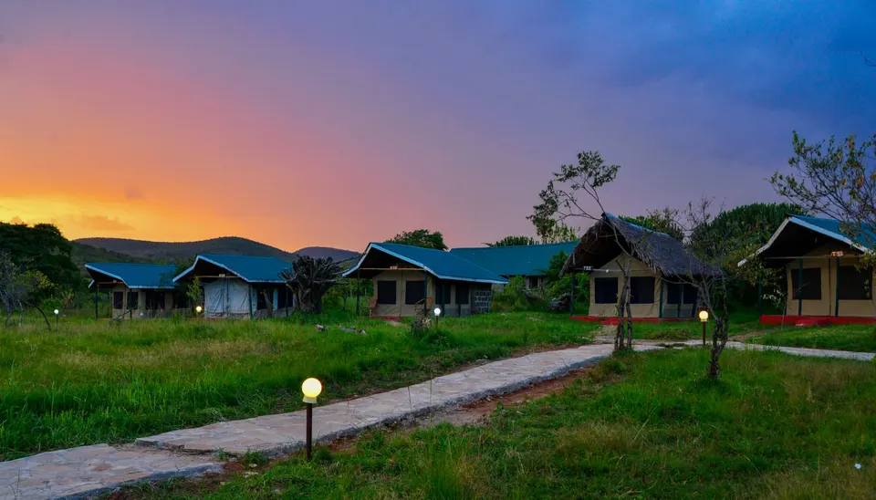 Flair Camp Experiences grounds and tent exteriors at dusk