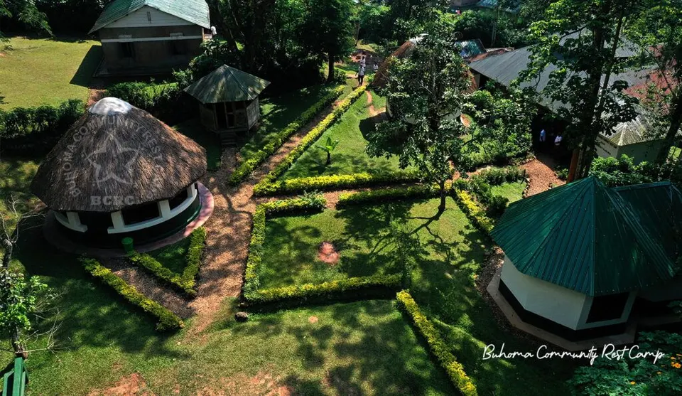 Bandas and paths in the garden