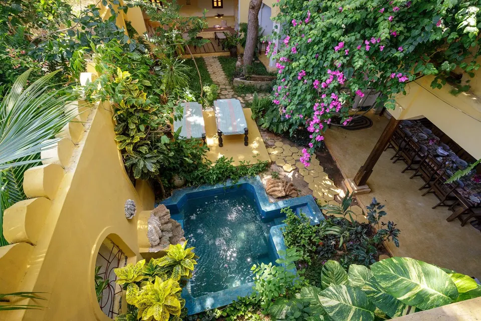 Waridi garden and plunge pool