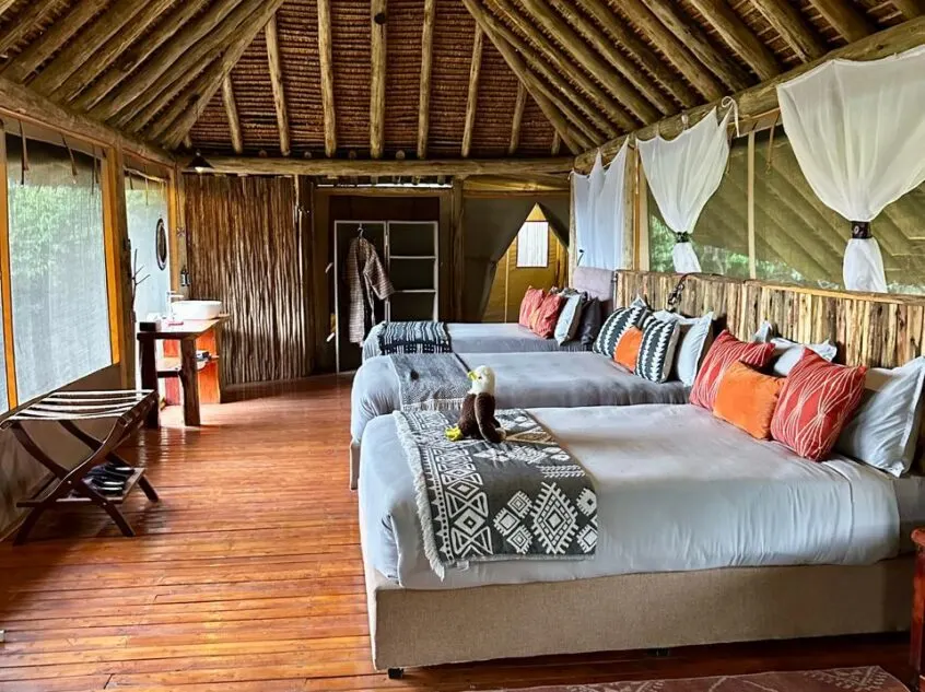 NAPA room with twin beds and timber floor